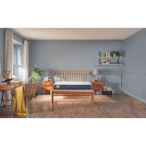 Erie Foam Mattress - Atchison Furniture Company (Atchison, KS)