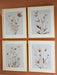 Chettings Wall Art (Set of 4) - Atchison Furniture Company (Atchison, KS)