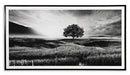 Deborland Wall Art - Atchison Furniture Company (Atchison, KS)