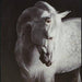 Archerwick Wall Art - Atchison Furniture Company (Atchison, KS)