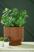 Avalyah Vase - Atchison Furniture Company (Atchison, KS)