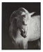 Archerwick Wall Art - Atchison Furniture Company (Atchison, KS)