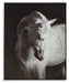 Archerwick Wall Art - Atchison Furniture Company (Atchison, KS)