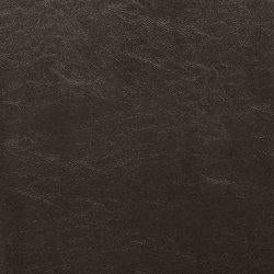 Kimonte Dining Chair Set - Atchison Furniture Company (Atchison, KS)