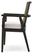 Galliden Dining Arm Chair - Atchison Furniture Company (Atchison, KS)
