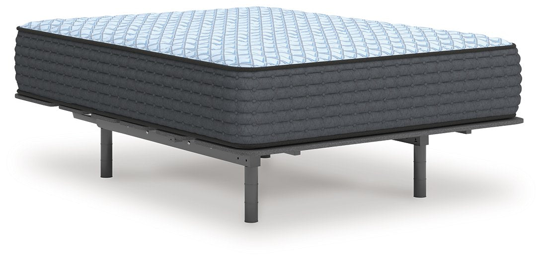 Destin Cove Firm Mattress - Atchison Furniture Company (Atchison, KS)