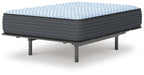Destin Cove Plush Mattress - Atchison Furniture Company (Atchison, KS)
