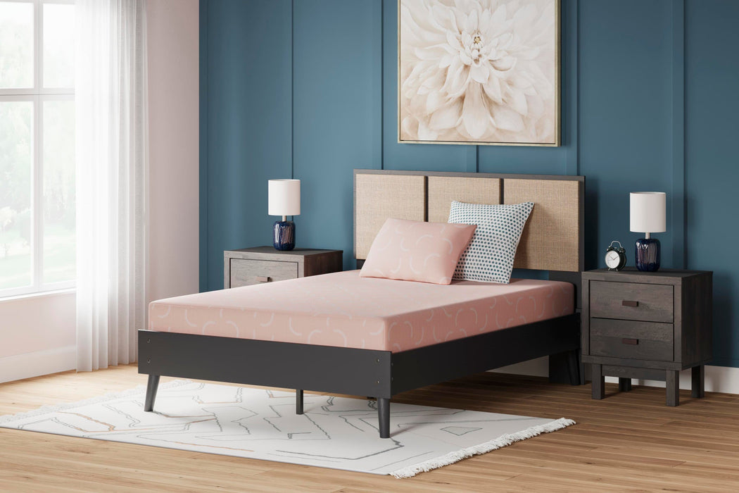iKidz Coral Mattress and Pillow - Atchison Furniture Company (Atchison, KS)