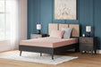 iKidz Coral Mattress and Pillow - Atchison Furniture Company (Atchison, KS)
