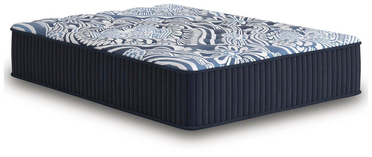 Firm Luxe 2.0 Mattress - Atchison Furniture Company (Atchison, KS)