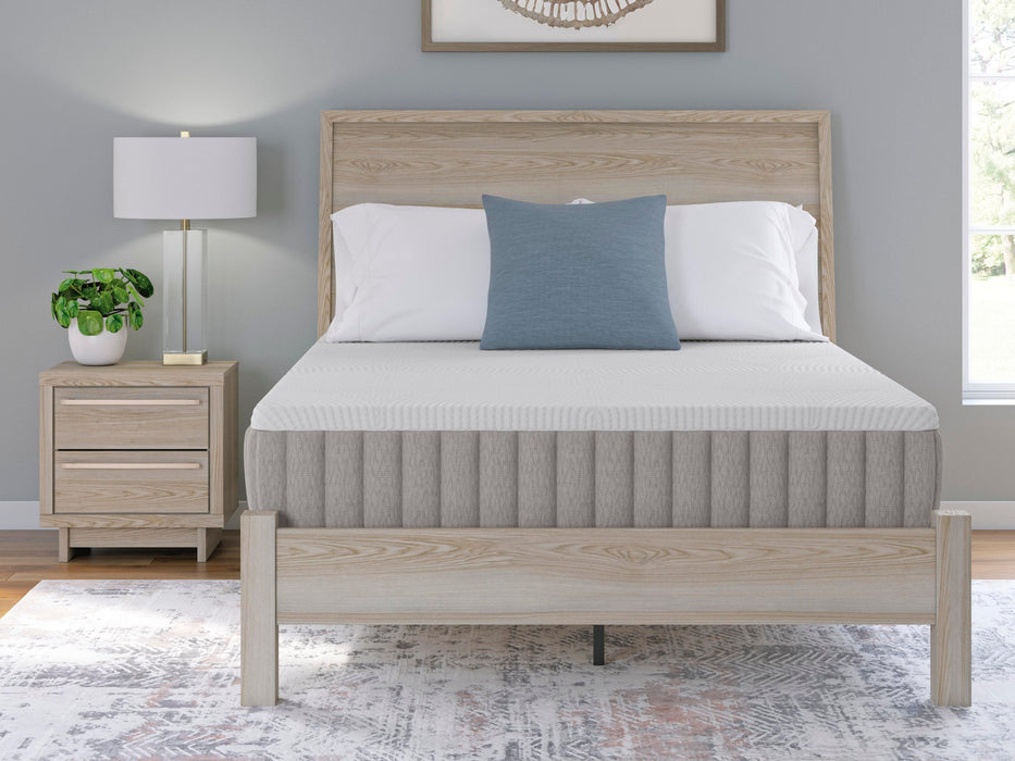 Terra Sleep Firm Mattress - Atchison Furniture Company (Atchison, KS)
