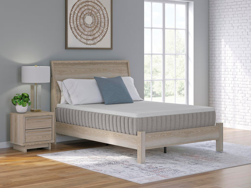 Terra Sleep Firm Mattress - Atchison Furniture Company (Atchison, KS)