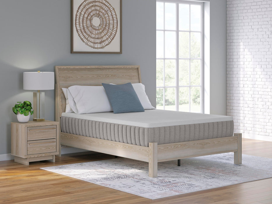 Terra Sleep Firm Mattress - Atchison Furniture Company (Atchison, KS)