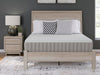 Terra Sleep Medium Mattress - Atchison Furniture Company (Atchison, KS)
