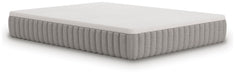 Terra Sleep Medium Mattress - Atchison Furniture Company (Atchison, KS)