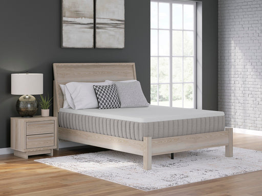 Terra Sleep Medium Mattress - Atchison Furniture Company (Atchison, KS)