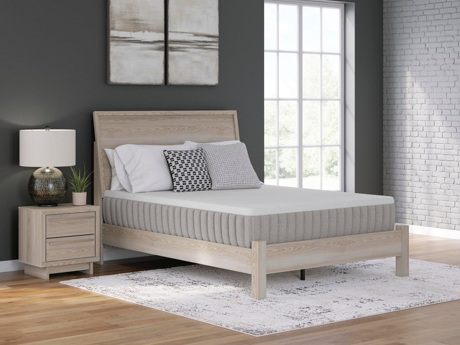 Terra Sleep Medium Mattress - Atchison Furniture Company (Atchison, KS)