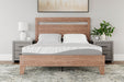 8 Inch Memory Foam RV Mattress - Atchison Furniture Company (Atchison, KS)