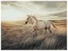 Errolville Wall Art - Atchison Furniture Company (Atchison, KS)