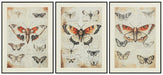 Jossletts Wall Art (Set of 3) - Atchison Furniture Company (Atchison, KS)