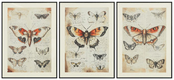 Jossletts Wall Art (Set of 3) - Atchison Furniture Company (Atchison, KS)