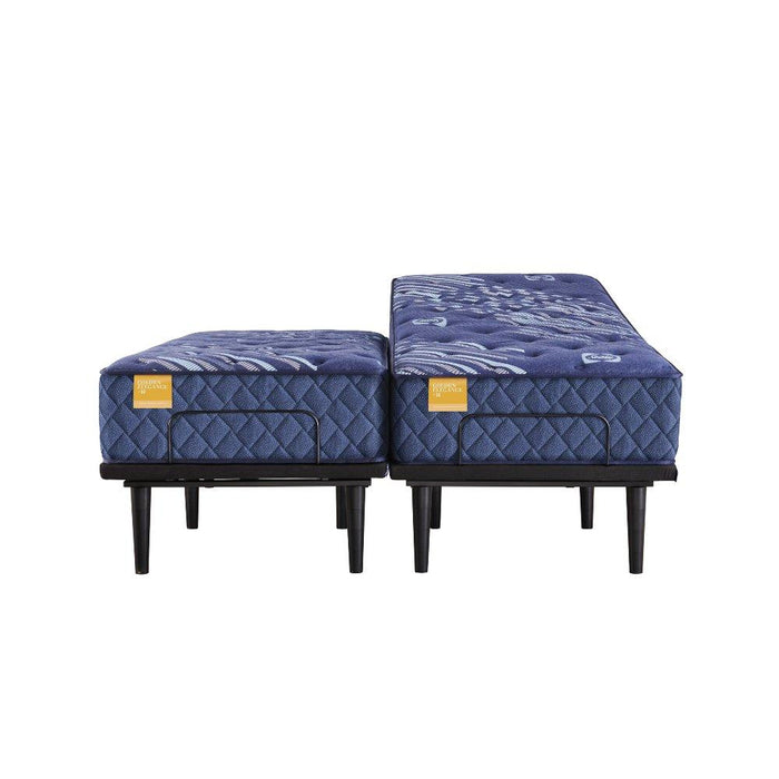 Forsyth Park Innerspring Mattress - Atchison Furniture Company (Atchison, KS)