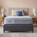 Chablis Firm Hybrid 1072 - Atchison Furniture Company (Atchison, KS)