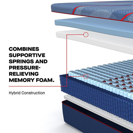 Albany II Hybrid Mattress - Atchison Furniture Company (Atchison, KS)