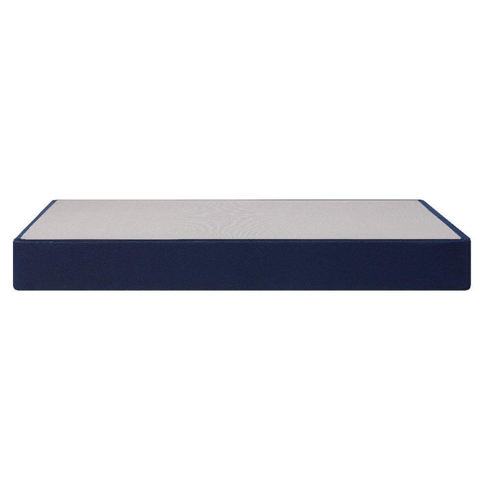 Sealy® 2025 Foundation - High Profile Foundation - Atchison Furniture Company (Atchison, KS)
