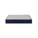 Sealy® 2025 Foundation - High Profile Foundation - Atchison Furniture Company (Atchison, KS)