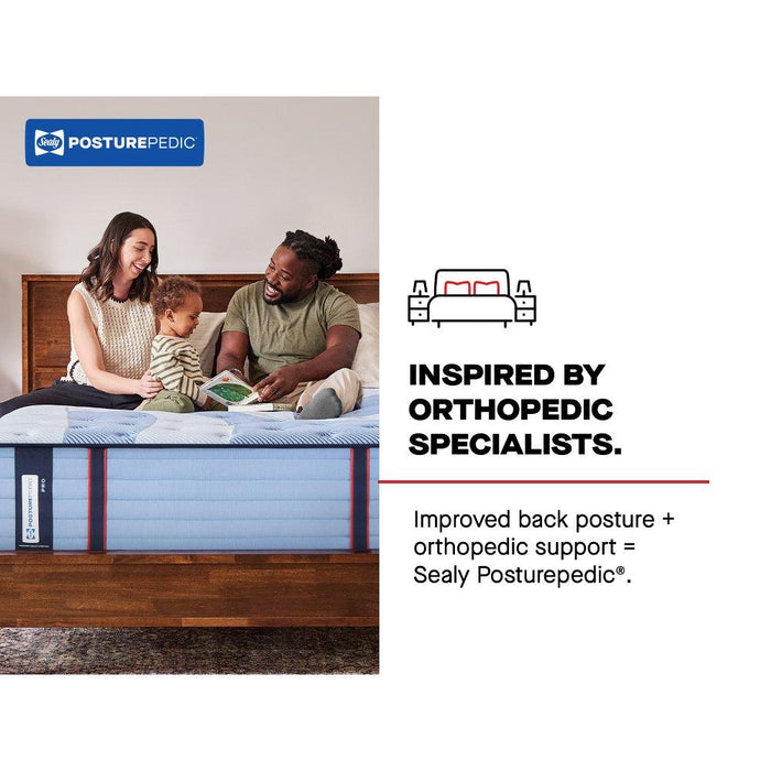 Sulina Spring Mattress - Atchison Furniture Company (Atchison, KS)