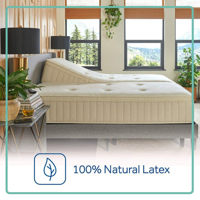 Sealy® Naturals™ Hybrid Mattress - Atchison Furniture Company (Atchison, KS)