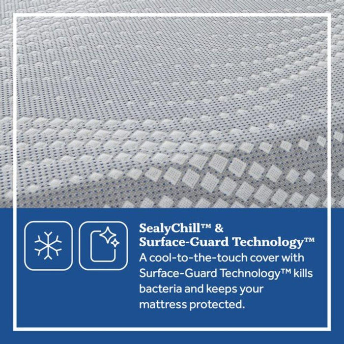 Elsanta Hybrid Mattress - Atchison Furniture Company (Atchison, KS)