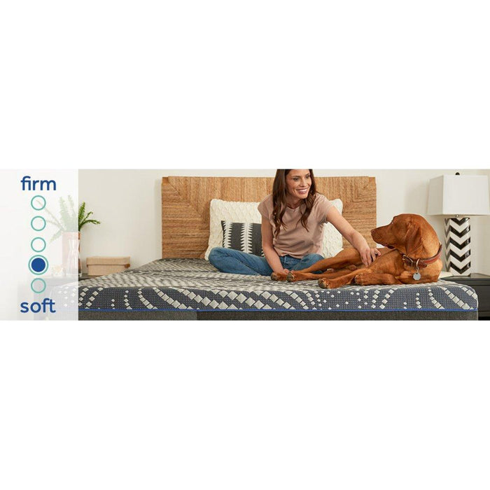 Albany Foam Mattress - Atchison Furniture Company (Atchison, KS)