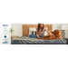 Albany Foam Mattress - Atchison Furniture Company (Atchison, KS)