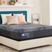 Brenham Hybrid Mattress - Atchison Furniture Company (Atchison, KS)