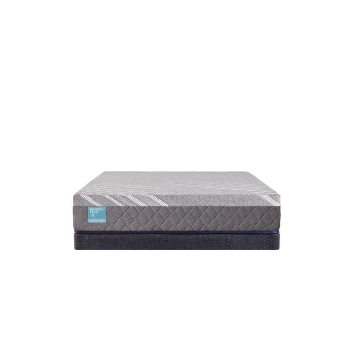 Delacroix Hybrid Mattress - Atchison Furniture Company (Atchison, KS)