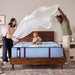 Sulina Spring Mattress - Atchison Furniture Company (Atchison, KS)
