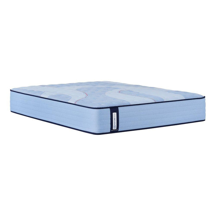 Goddard Spring Mattress - Atchison Furniture Company (Atchison, KS)