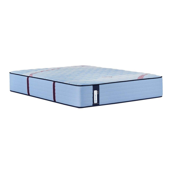 Equus Spring Mattress - Atchison Furniture Company (Atchison, KS)