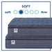 Warner Spring Mattress - Atchison Furniture Company (Atchison, KS)