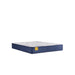 Palace Park Innerspring Mattress - Atchison Furniture Company (Atchison, KS)