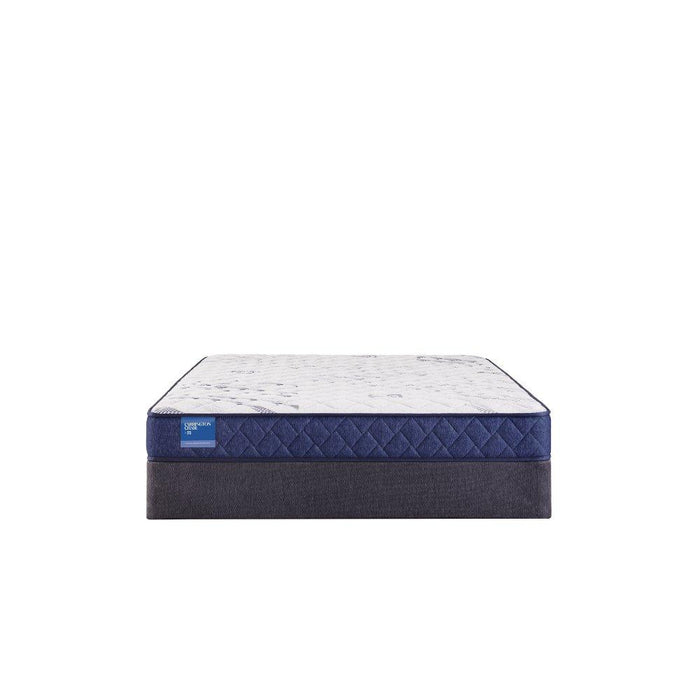 Resting Manor Foam Mattress - Atchison Furniture Company (Atchison, KS)