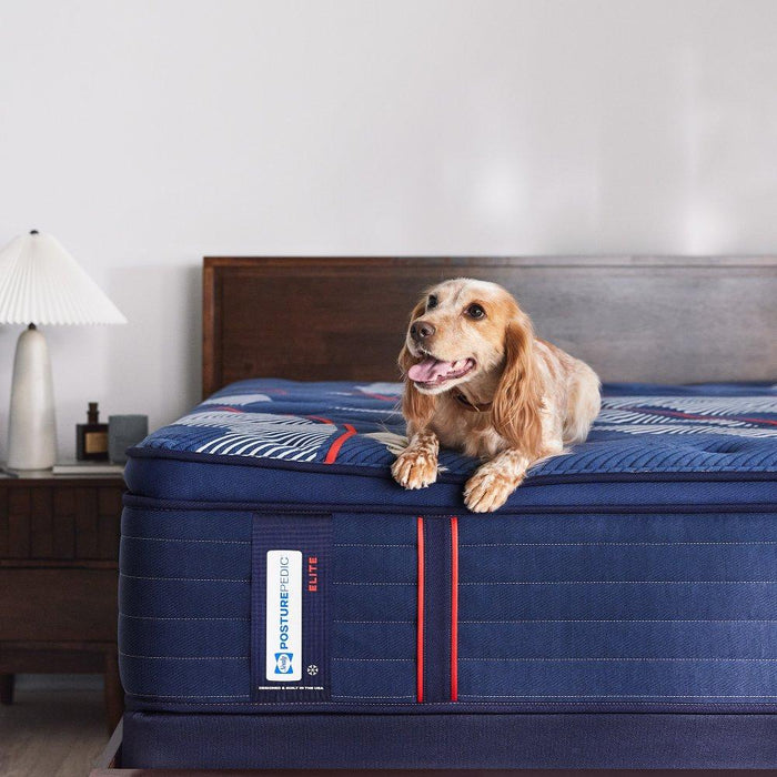 Albany II Spring Mattress - Atchison Furniture Company (Atchison, KS)