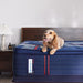 Albany II Spring Mattress - Atchison Furniture Company (Atchison, KS)