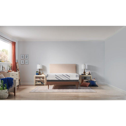 Provision Foam Mattress - Atchison Furniture Company (Atchison, KS)