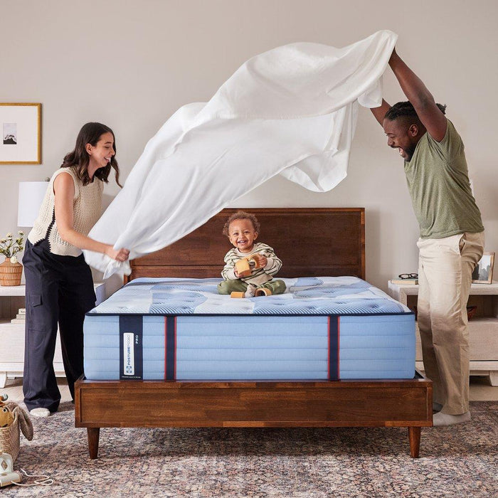 Sulina Spring Mattress - Atchison Furniture Company (Atchison, KS)