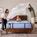 Sulina Spring Mattress - Atchison Furniture Company (Atchison, KS)