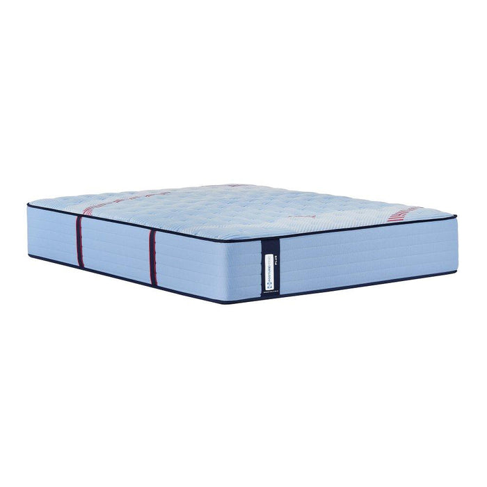 Equus Spring Mattress - Atchison Furniture Company (Atchison, KS)