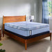 Lansdale Hybrid Mattress - Atchison Furniture Company (Atchison, KS)